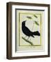 Great-Tailed Grackle-Georges-Louis Buffon-Framed Giclee Print