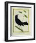 Great-Tailed Grackle-Georges-Louis Buffon-Framed Giclee Print