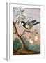 Great tit on a branch of a fruit tree-Barbara Regina Dietzsch-Framed Giclee Print