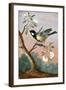 Great tit on a branch of a fruit tree-Barbara Regina Dietzsch-Framed Giclee Print