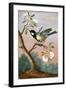 Great tit on a branch of a fruit tree-Barbara Regina Dietzsch-Framed Giclee Print