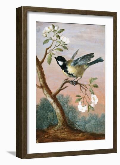 Great tit on a branch of a fruit tree-Barbara Regina Dietzsch-Framed Giclee Print