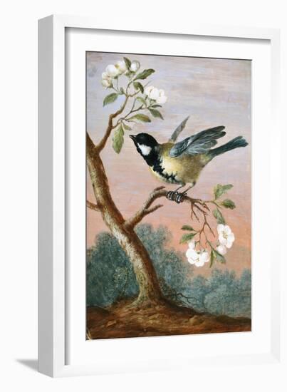 Great tit on a branch of a fruit tree-Barbara Regina Dietzsch-Framed Giclee Print