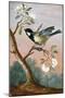 Great tit on a branch of a fruit tree-Barbara Regina Dietzsch-Mounted Giclee Print