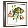 Great Tit on Hawthorn-Nell Hill-Framed Giclee Print