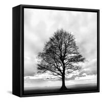 Great Tree-null-Framed Stretched Canvas