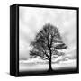 Great Tree-null-Framed Stretched Canvas