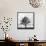 Great Tree-null-Framed Stretched Canvas displayed on a wall