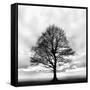 Great Tree-null-Framed Stretched Canvas