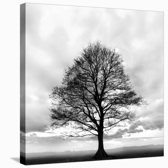 Great Tree-null-Stretched Canvas