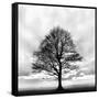 Great Tree-null-Framed Stretched Canvas