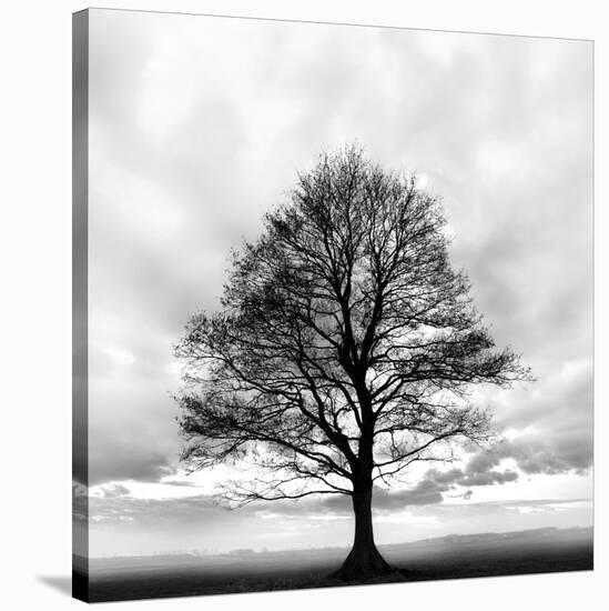 Great Tree-null-Stretched Canvas
