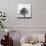 Great Tree-null-Photographic Print displayed on a wall