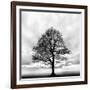 Great Tree-null-Framed Photographic Print