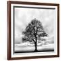 Great Tree-null-Framed Photographic Print