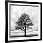 Great Tree-null-Framed Photographic Print