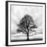 Great Tree-null-Framed Photographic Print