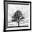 Great Tree-null-Framed Photographic Print