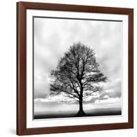 Great Tree-null-Framed Photographic Print