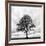 Great Tree-null-Framed Photographic Print