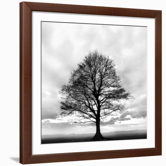 Great Tree-null-Framed Photographic Print