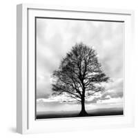 Great Tree-null-Framed Photographic Print