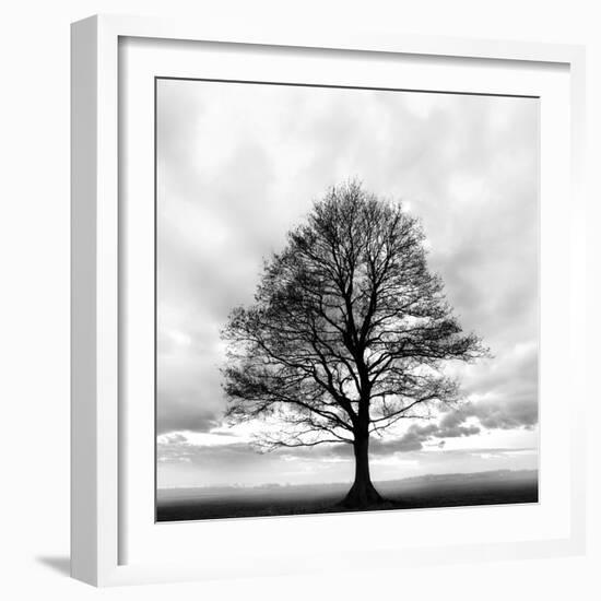 Great Tree-null-Framed Photographic Print