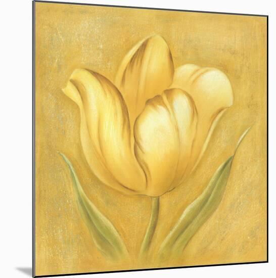 Great Tulip I-Lewman Zaid-Mounted Art Print