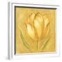 Great Tulip II-Lewman Zaid-Framed Art Print