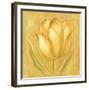 Great Tulip II-Lewman Zaid-Framed Art Print