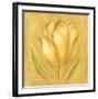 Great Tulip II-Lewman Zaid-Framed Art Print