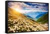 Great View of the Alpine Meadows with Rhododendron Flowers at the Foot of Mt. Ushba. Dramatic Unusu-Leonid Tit-Framed Stretched Canvas