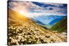 Great View of the Alpine Meadows with Rhododendron Flowers at the Foot of Mt. Ushba. Dramatic Unusu-Leonid Tit-Stretched Canvas