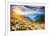 Great View of the Alpine Meadows with Rhododendron Flowers at the Foot of Mt. Ushba. Dramatic Unusu-Leonid Tit-Framed Photographic Print