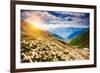 Great View of the Alpine Meadows with Rhododendron Flowers at the Foot of Mt. Ushba. Dramatic Unusu-Leonid Tit-Framed Photographic Print