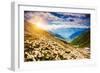 Great View of the Alpine Meadows with Rhododendron Flowers at the Foot of Mt. Ushba. Dramatic Unusu-Leonid Tit-Framed Photographic Print