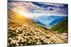 Great View of the Alpine Meadows with Rhododendron Flowers at the Foot of Mt. Ushba. Dramatic Unusu-Leonid Tit-Mounted Photographic Print