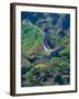 Great Wall, China-Keren Su-Framed Photographic Print