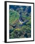 Great Wall, China-Keren Su-Framed Photographic Print