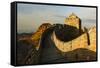 Great Wall of China and Jinshanling Mountains at sunrise, Jinshanling, China-Adam Jones-Framed Stretched Canvas