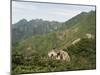 Great Wall of China, in Summer Time, Mutianyu, Near Beijing-Christian Kober-Mounted Photographic Print