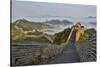 Great Wall of China on a Foggy Morning. Jinshanling, China-Darrell Gulin-Stretched Canvas