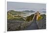 Great Wall of China on a Foggy Morning. Jinshanling, China-Darrell Gulin-Framed Photographic Print