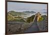 Great Wall of China on a Foggy Morning. Jinshanling, China-Darrell Gulin-Framed Photographic Print