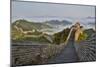 Great Wall of China on a Foggy Morning. Jinshanling, China-Darrell Gulin-Mounted Photographic Print