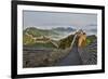 Great Wall of China on a Foggy Morning. Jinshanling, China-Darrell Gulin-Framed Photographic Print