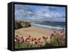 Great Western Beach, Newquay, Cornwall, England-Stuart Black-Framed Stretched Canvas