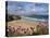 Great Western Beach, Newquay, Cornwall, England-Stuart Black-Stretched Canvas