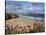 Great Western Beach, Newquay, Cornwall, England-Stuart Black-Stretched Canvas