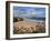 Great Western Beach, Newquay, Cornwall, England-Stuart Black-Framed Photographic Print